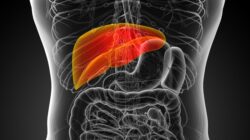7 Makanan Sehari-hari yang Baik untuk Kesehatan Liver, Termasuk Kopi