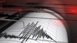 Gempa M 4,7 Guncang Boven Digoel Papua: Warga Berlarian_ke_Luar Rumah_Sebelum_Trah_Kemudian