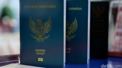 5 Daerah RI Siap Layani E-Paspor, Mulai 1 Mei 2025! Ini Provinsinya