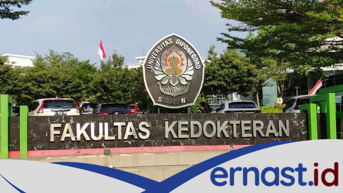 Undip Jawab Kabar Kelulusan Mahasiswa Tersangka Bullying PPDS Dipercepat - Update 1