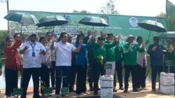 Agung Sedayu Gandeng Natabumi, 7.000 Mangrove Ditanam di Pesisir: Langkah Nyata untuk Menyelamatkan Ecosistem
