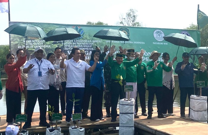 Agung Sedayu Gandeng Natabumi, 7.000 Mangrove Ditanam di Pesisir: Langkah Nyata untuk Menyelamatkan Ecosistem