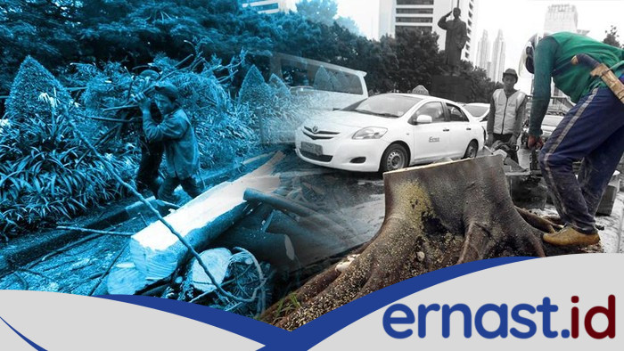 Tragedi di Bogor! Pohon Tumbang Usai Ditabrak Truk, Timpa Mobil yang Melintas