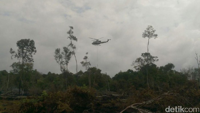 Polres Pelalawan Ungkap 2 Tersangka Pembakar Hutan di TNTN, Petani Jadi Target