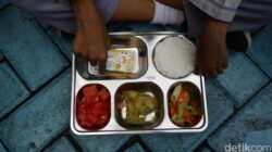 **Waka Komisi IX DPR Usul Kantin Sekolah Sediakan Makan Bergizi Gratis, Tanggapi Kasus Keracunan Pelajar**