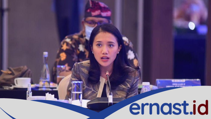 Puteri Komarudin: Perempuan yang Menggugat Arogansi Literasi Keuangan di Legislasi!