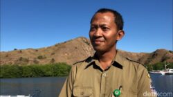**Kemenhut Ungkap Skandal: Satwa Liar Jadi Souvenir ke AS, Kepala Orang Utan Hingga Monyet Dikirim**