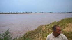 “Makin Panas! Pakistan Tuduh India Ubah Aliran Sungai Chenab, Ancam Kekeringan di Perbatasan”