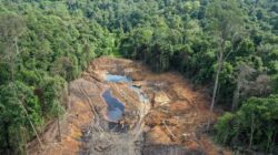 “Skandal Penambangan Ilegal di Unmul: Kemenhut Ungkap 2 Calon Tersangka!”