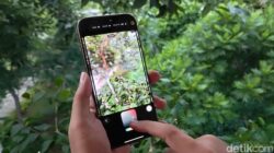 “Tak Hanya Filter, iPhone 16 Hadirkan Photographic Styles yang Membuat Fotomu Berkilau!”