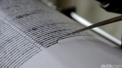 Gempa M 5,1 Menerjang Papua, Warga Terancam Namun Tak Ada Tsunami
