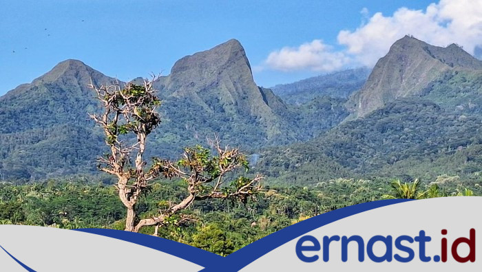 Risiko Kecelakaan Tinggi, Pendakian 3 Gunung di Bondowoso Dilarang - Update 1