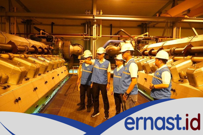 PLN Pastikan Listrik di Bali Kembali Normal, Sistem Dipercayai Lebih Aman