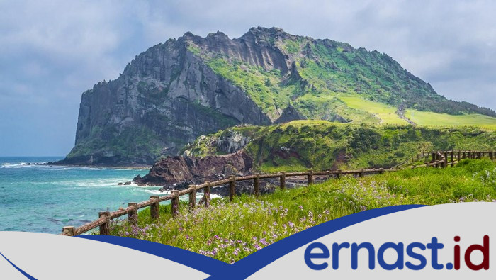 Menyelam Tanpa Oksigen, Kebiasaan Kesehatan Para Haenyeo Jeju dalam