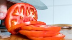Menentukan Status Tomat: Buah atau Sayur dengan AI dan Machine Learning