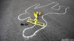 Tragedi Anggota KKB Bumi Wolo: DPO Penyerangan di Puncak Jaya Tewas saat Disergap, Siapa yang Bertanggung Jawab?