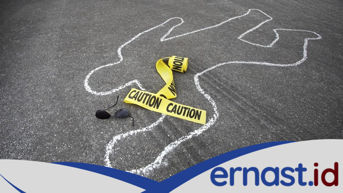 Tragedi Anggota KKB Bumi Wolo: DPO Penyerangan di Puncak Jaya Tewas saat Disergap, Siapa yang Bertanggung Jawab?