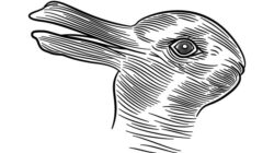 **Ternyata Selama Ini Salah, Begini Mengartikan Kepribadian dari Ilusi Bebek-Kelinci**