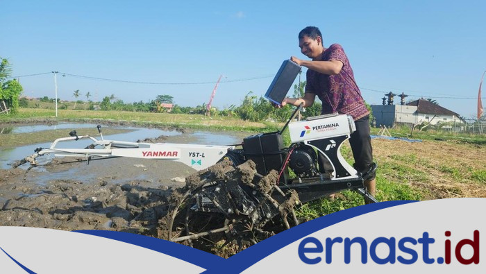 **Pertamina Dorong Energi Transisi, Bantu 408 Petani Bali Kembangkan Padi di Musim Kekeringan**