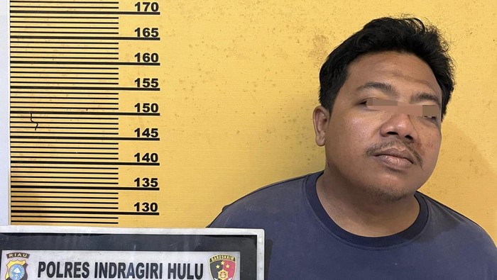 Preman Mabuk di Riau Diringkus Polisi Usai Coba Perkosa Wanita, Kasus Menyedihkan yang Guncang Riau