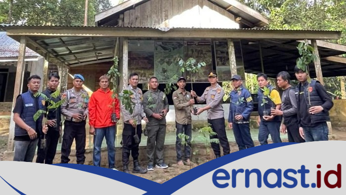 [Hutan Suaka Rimbang Baling Riau Dihijaukan demi Masa Depan Satwa Langka]