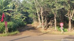“Tangis Tanah Garut: Lokasi Ledakan Pemusnahan Amunisi, Jauh dari Permukiman Warga, Berisiko?”