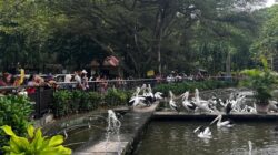 7.000 Wisatawan Ramaikan Hari Cuti Waisak di Ragunan, Fenomenal!