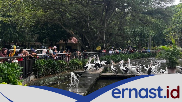 7.000 Lebih Wisatawan Nikmati Hari Cuti Waisak, Ragunan Melejit!