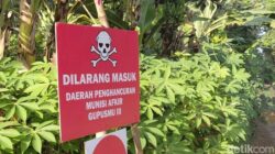 **”Saksi Mata Ledakan Amunisi TNI: Saya Kerja Buka Selongsong, Bukan Mulung” – Kisah Agus Setiawan yang Menyedarkan**