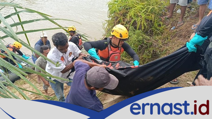 [Lagi Nyeberang Kanal, Warga Sumbar Disergap Buaya Hingga Tewas: Kebiasaan yang Berujung Fatal]