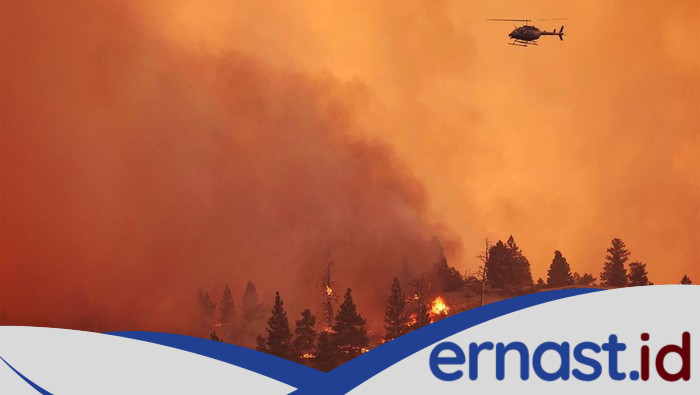 Kebakaran Hebat Landa Hutan di Kanada: 2 Orang Tewas, Ribuan Warga Mengungsi