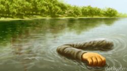 3 Mayat Ibu dan Anak Ditemukan di Saluran Irigasi Sulsel: Misteri atau Tindakan Kriminal?