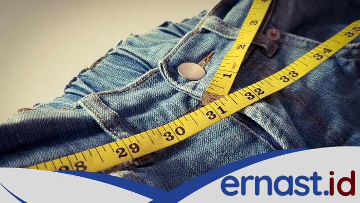 Dari Mana Asal Visceral Fat? Disebut Menkes Bikin Pria 'Cepat Menghadap Allah' - Update 1