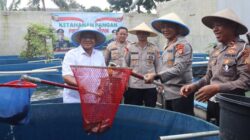 Polres Depok Berdaya! Dukung Ketahanan Pangan dengan Panen 2 Ton Lele