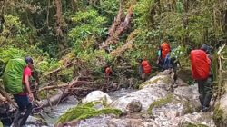 Tragedi Gunung Binaiya: Pendaki Bogor Hilang 22 Hari, Ditemukan Tewas dalam Kondisi Mengerikan