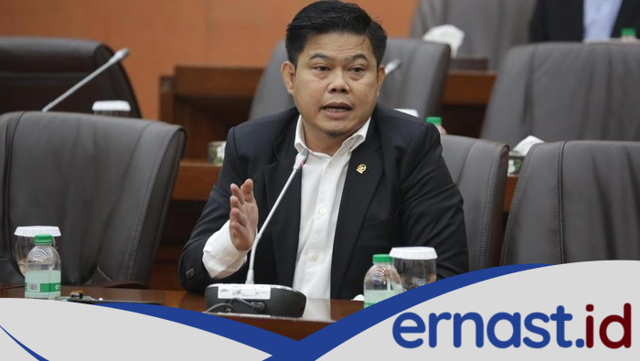 Warna Pesawat Presiden Berubah, Legislator: Perawatan Tetap Dilindungi Efisiensi!