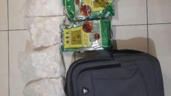 Polda Riau Bongkar 2 Kg Sabu dan 1,8 Kg Heroin dari Tong Sampah, Gagalkan Transaksi di Hotel Pekanbaru