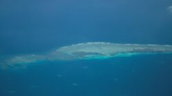 “Latihan Militer Filipina-AS di Laut China Selatan: Ancaman atau Peringatan?”