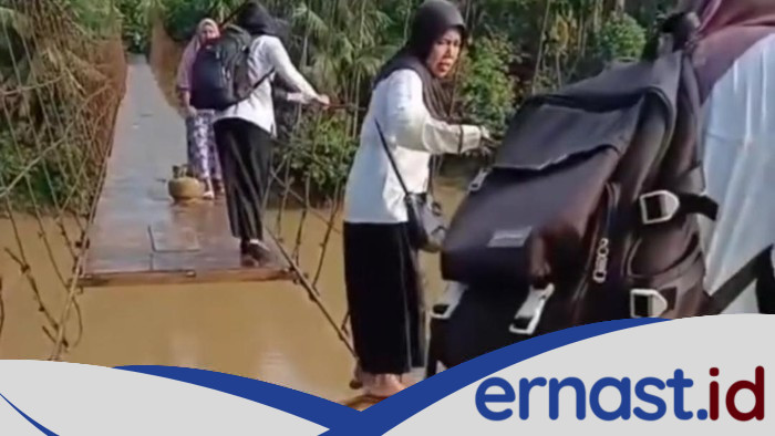 Jembatan Rusak di Jambi Viral, Guru yang Minta Maaf Jadi Perbincangan!