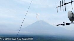 Gunung Semeru Erupsi Lagi, Tinggi Letusan 700 Meter Pagi Ini – Update 1