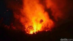 Kebun di Bogor Terbakar, Diduga Ledakan LPG Oplosan: Petaka Api Meneror Warga