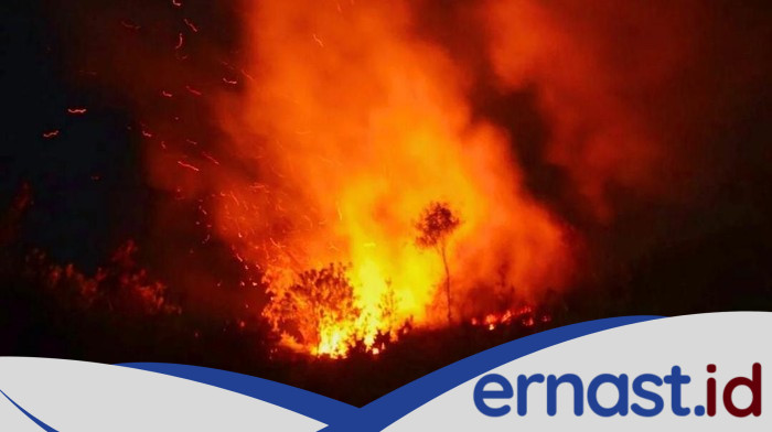 Kebun di Bogor Terbakar, Diduga Ledakan LPG Oplosan: Petaka Api Meneror Warga