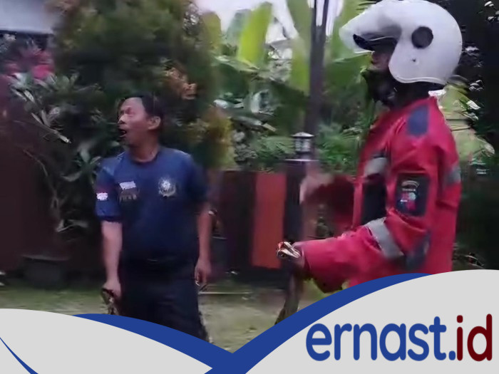 Sanca Raksasa 2 Meter Muncul Misterius di Bogor, Warga Kehebohan!