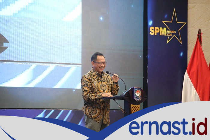Mendagri Tegaskan Pemda: Rujuk 6 Pelayanan Dasar atau Kena Kritik!