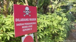 Komnas HAM Rekomendasikan Tutup Permanen Lahan Pemusnahan Amunisi di Garut – Update 3