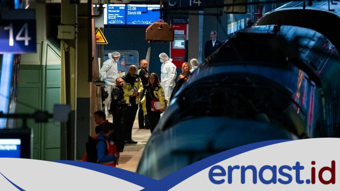 **Horor Penikaman di Stasiun Hamburg: 18 Orang Terluka, Wanita Jerman Ditangkap**