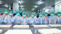 “Kunjungi Pabrik The Harvest: DWP MPR Buka Jendela Ilmu & Peluang Usaha Terbaru”