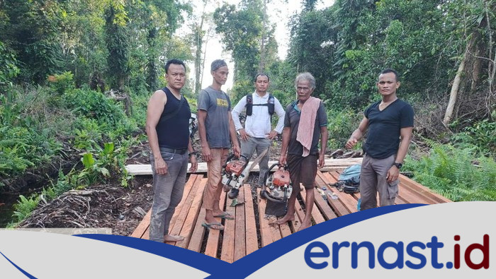 Polisi Bongkar Pembalakan Liar di Hutan Senepis Riau, 2,5 Ton Kayu Disita, Bongkar Skandal Kekalahan Hutan