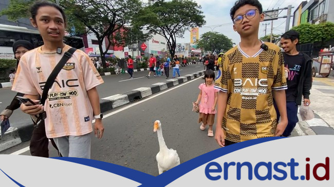 **Iguana hingga Kala Soang, Hewan Peliharaan Juga Nikmati CFD Depok**