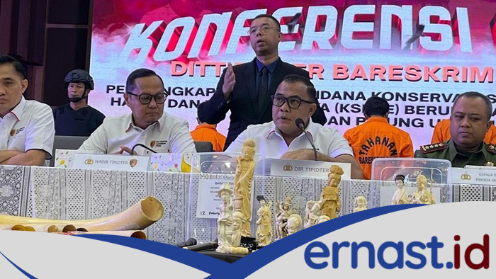 Bareskrim Bongkar Penyelundupan Gading Gajah-Patung Ukiran Senilai Rp 2,4 M - Update 1